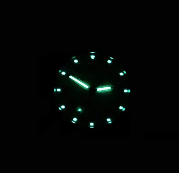 Bertucci A-2S Field Watch