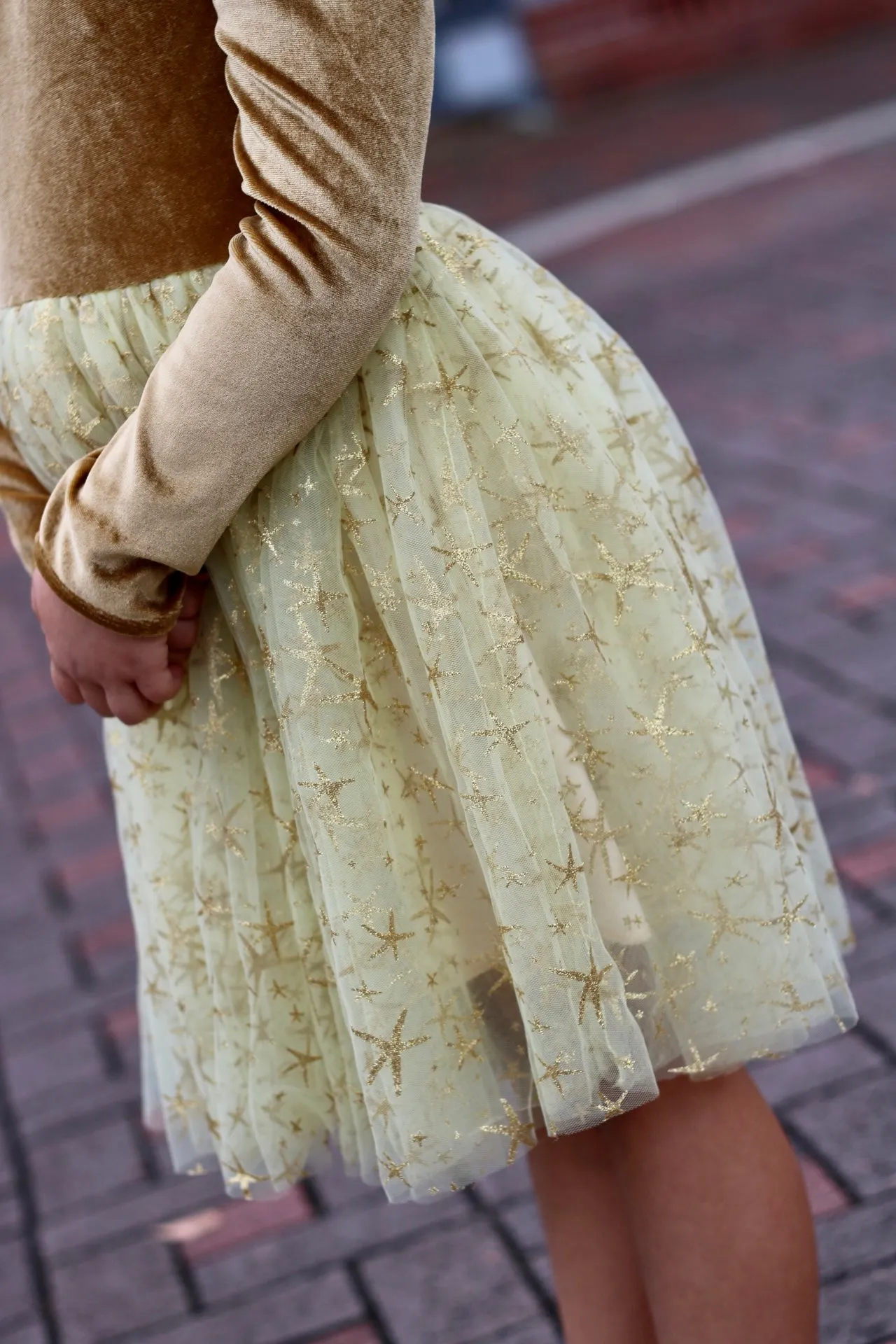 Christmas Dress PREORDER - Order by October 11