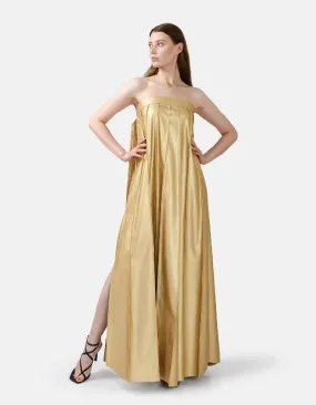 Desire Strapless Maxi Dress