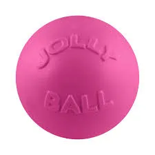 Jolly Pets "Bounce-n-Play" Ball for Dogs - MADE IN USA