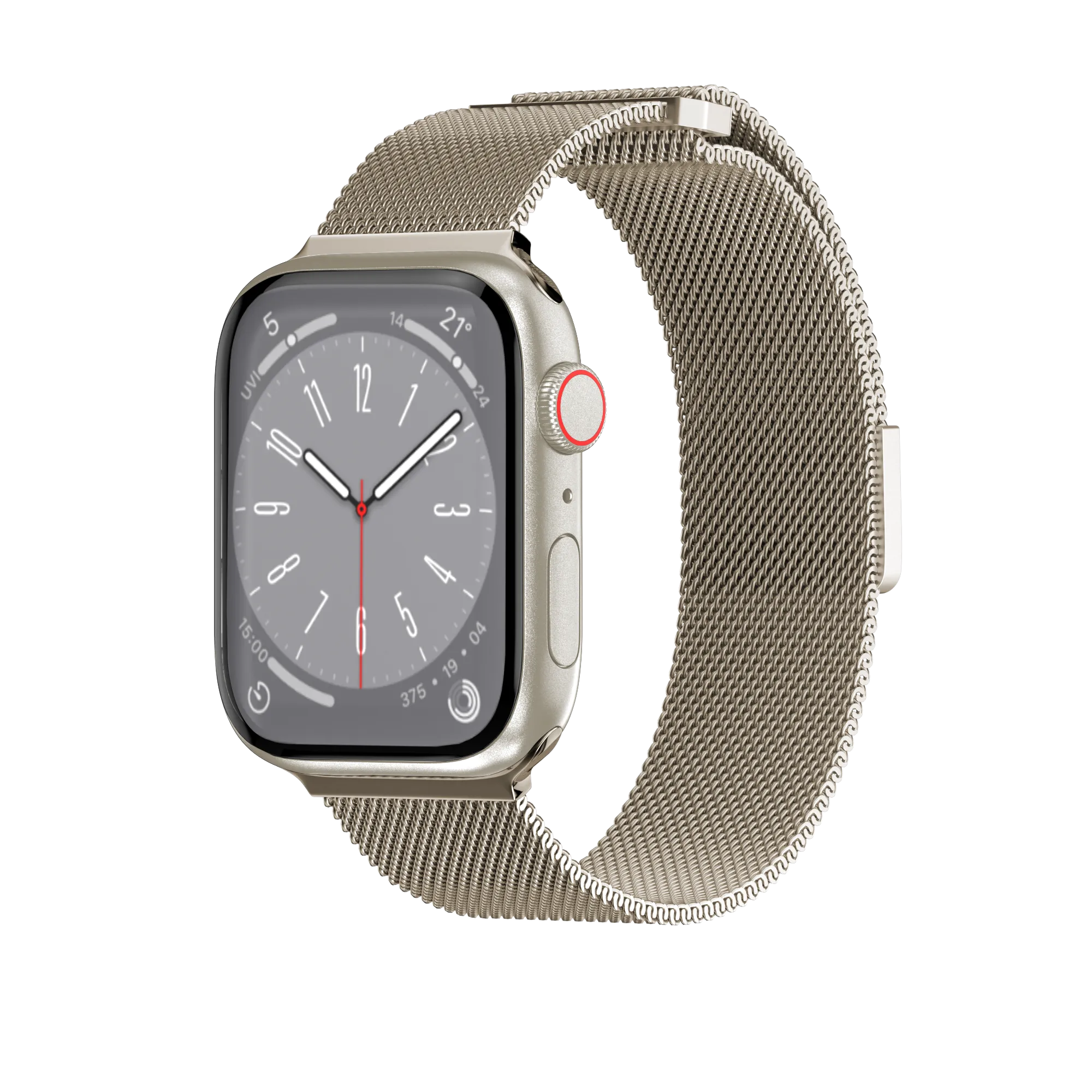 Mesh Stainless Steel Apple Watch Loop