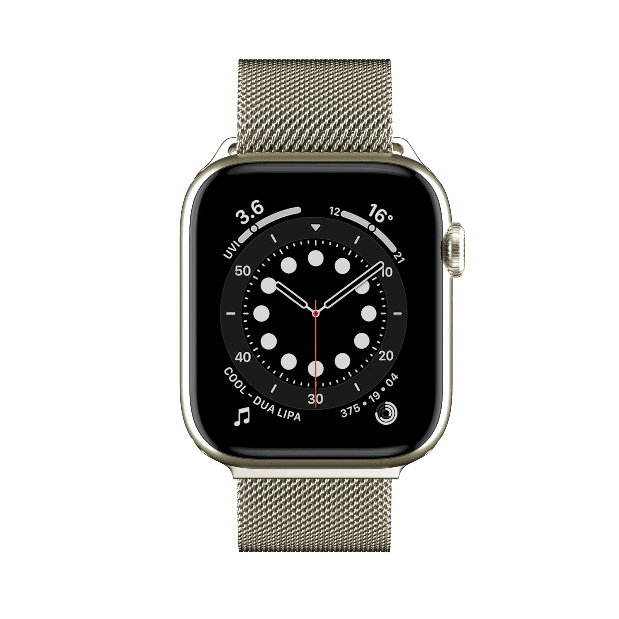 Mesh Stainless Steel Apple Watch Loop