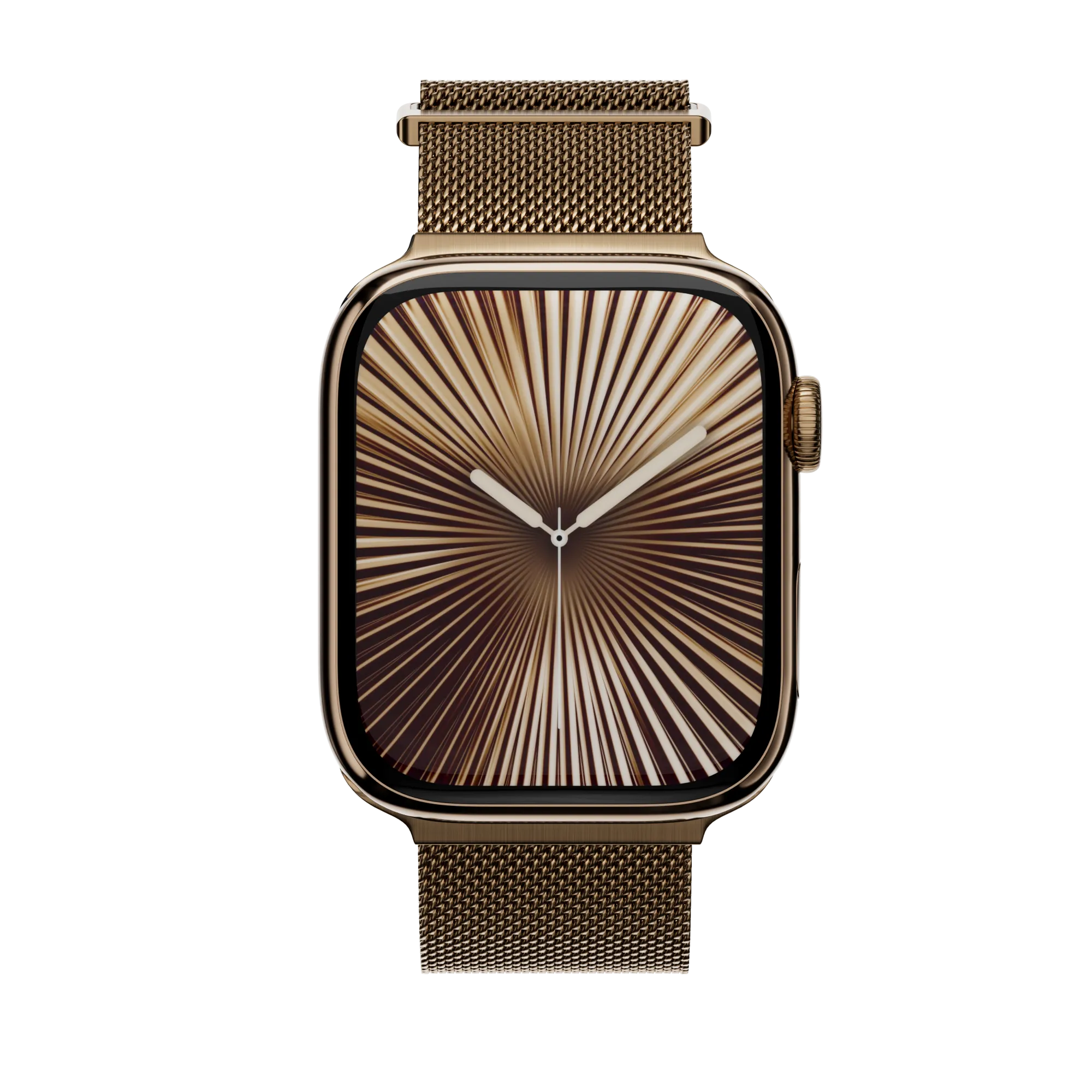 Milanese Stainless Steel Watch Loop