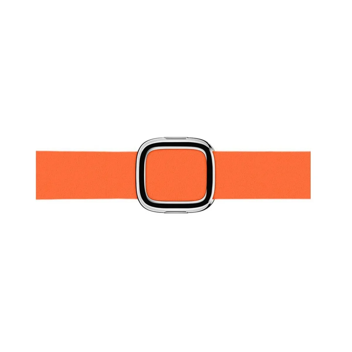 Sunset Modern Buckle Band