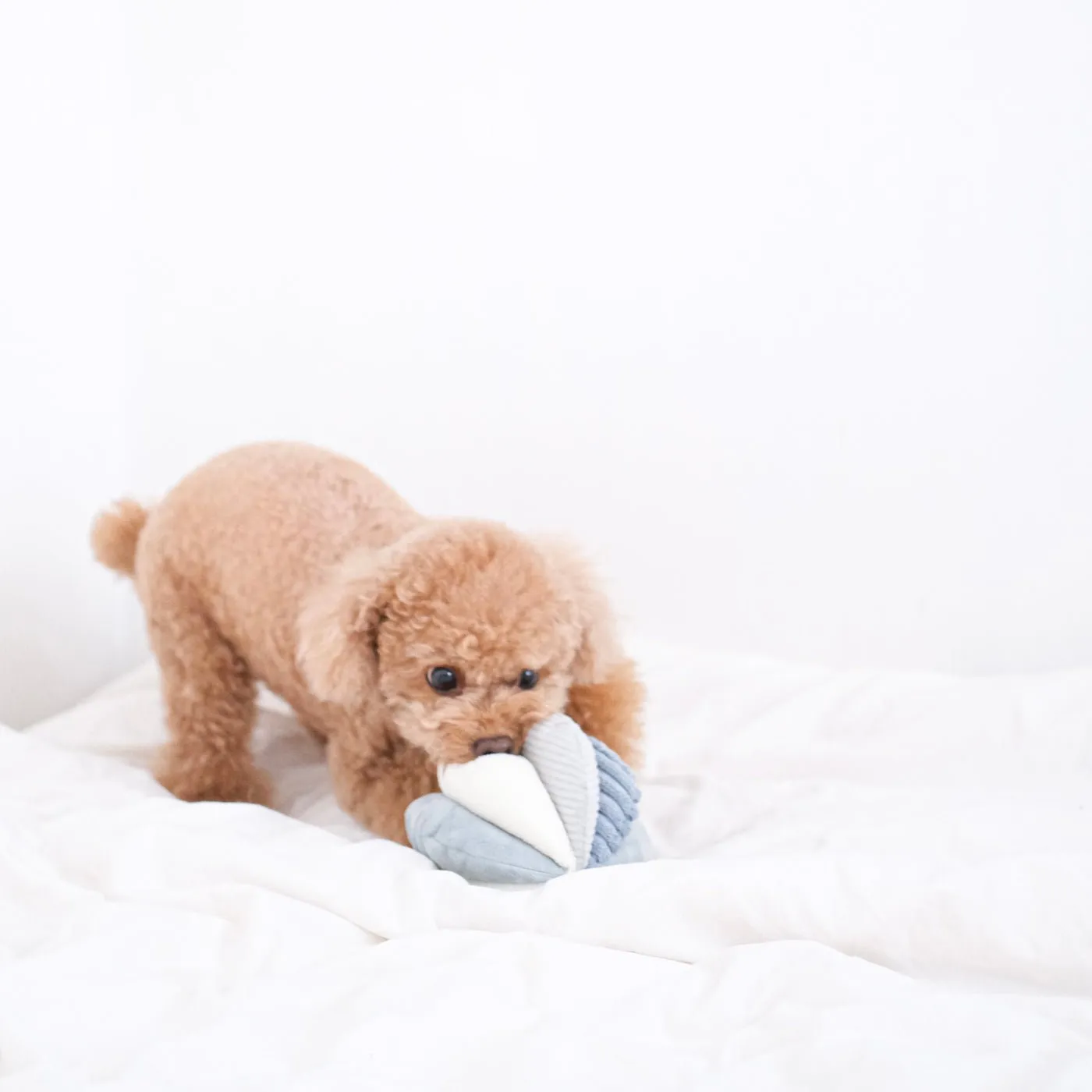 Toto Enrichment Snuffle Ball Dog Toy