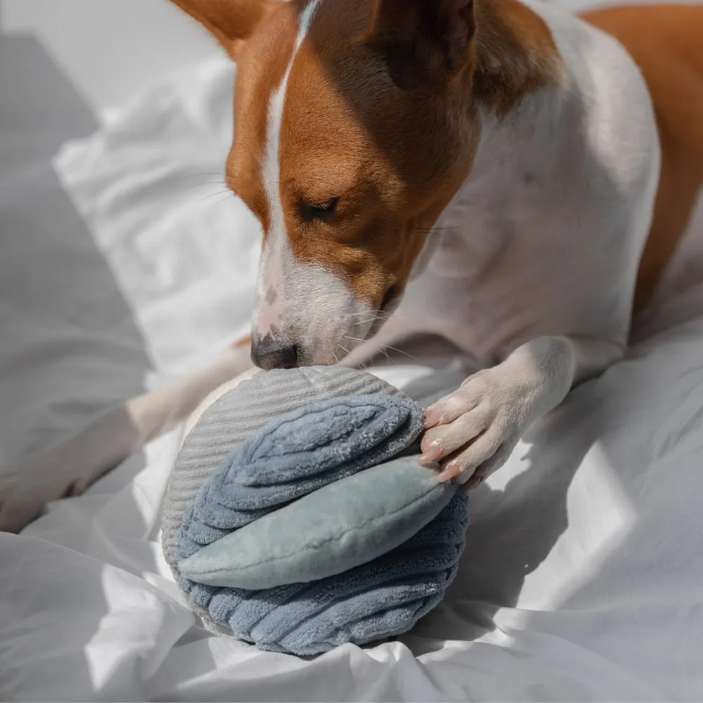 Toto Enrichment Snuffle Ball Dog Toy